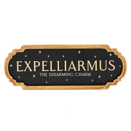Plaque décorative murale "Expelliarmus"