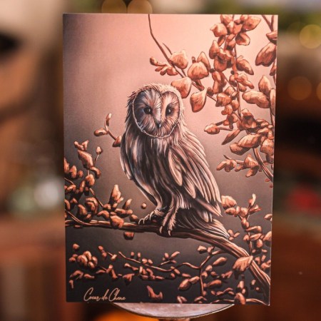 Print "la chouette dorée"