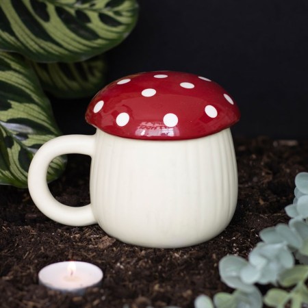 Mug champignon