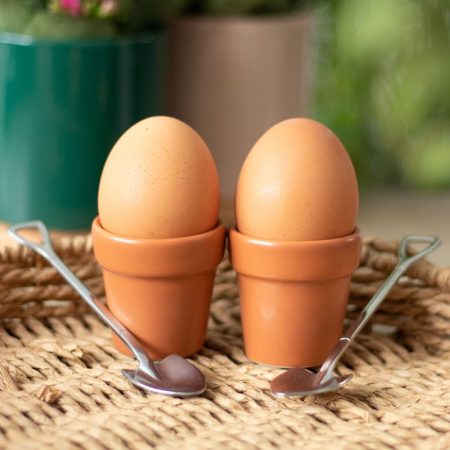 Coquetiers pot de fleurs avec cuillères