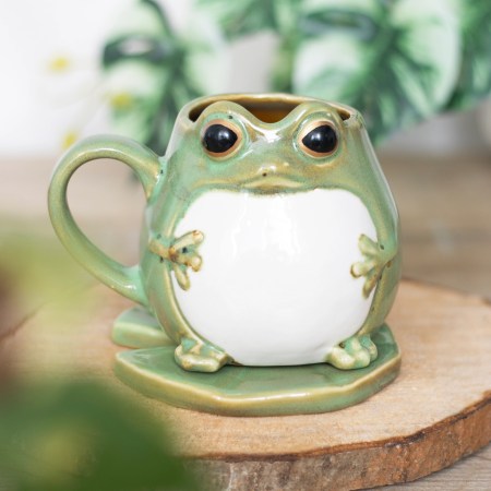 Mug grenouille et soucoupe nénuphar