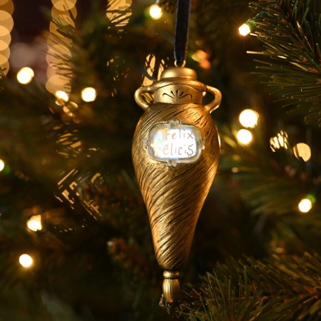 Suspension de Noël Felix Felicis