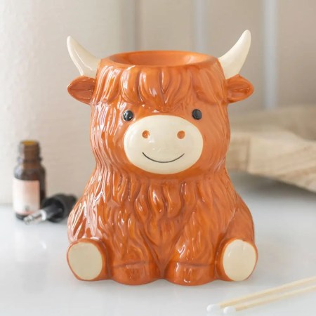 Brûleur vache des Highlands